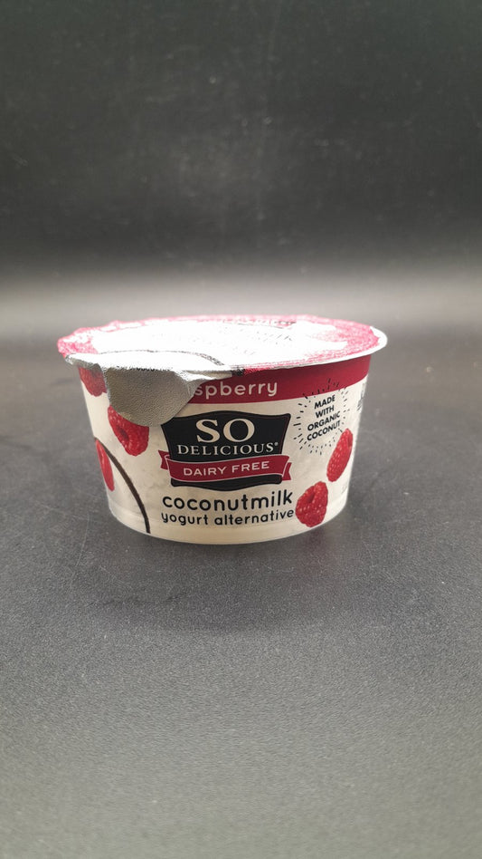 Dairy Free Raspberry Yogurt